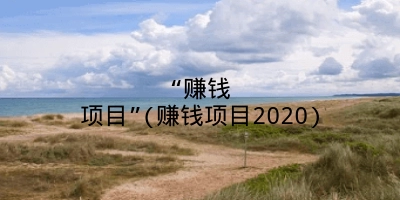 “赚钱项目”(赚钱项目2020)