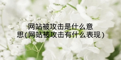 网站被攻击是什么意思(网站被攻击有什么表现)