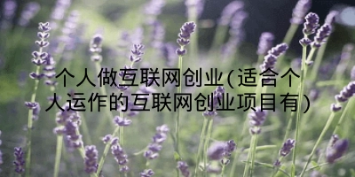 个人做互联网创业(适合个人运作的互联网创业项目有)