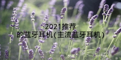 2021推荐的蓝牙耳机(主流蓝牙耳机)