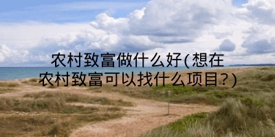 农村致富做什么好(想在农村致富可以找什么项目?)