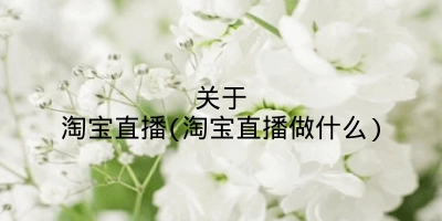 关于淘宝直播(淘宝直播做什么)