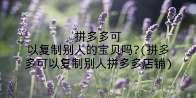 拼多多可以复制别人的宝贝吗?(拼多多可以复制别人拼多多店铺)