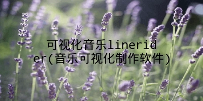 可视化音乐linerider(音乐可视化制作软件)