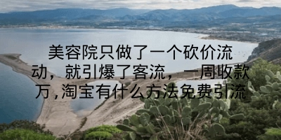 美容院只做了一个砍价流动，就引爆了客流，一周收款万,淘宝有什么方法免费引流