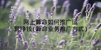 网上算命如何推广运营挣钱(算命业务推广方式)