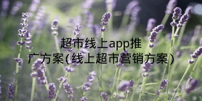 超市线上app推广方案(线上超市营销方案)