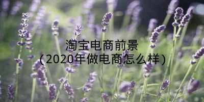 淘宝电商前景(2020年做电商怎么样)