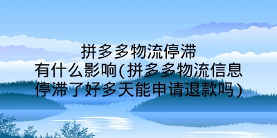 拼多多物流停滞有什么影响(拼多多物流信息停滞了好多天能申请退款吗)