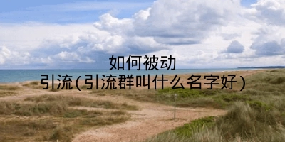 如何被动引流(引流群叫什么名字好)