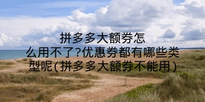 拼多多大额券怎么用不了?优惠券都有哪些类型呢(拼多多大额券不能用)