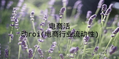 电商活动roi(电商行业流动性)