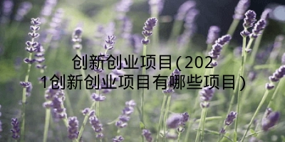 创新创业项目(2021创新创业项目有哪些项目)