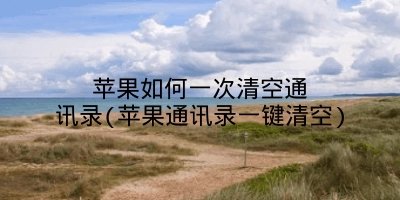 苹果如何一次清空通讯录(苹果通讯录一键清空)