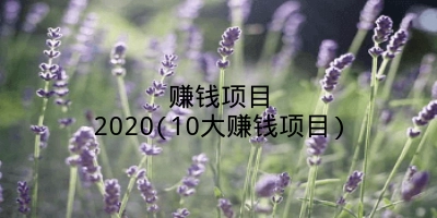 赚钱项目2020(10大赚钱项目)