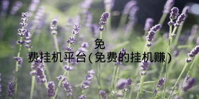 免费挂机平台(免费的挂机赚)