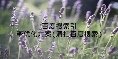 百度搜索引擎优化方案(清扫百度搜索)