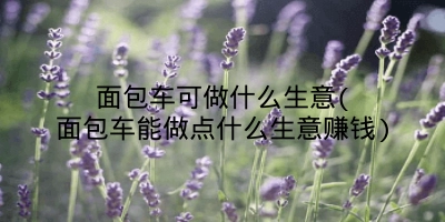 面包车可做什么生意(面包车能做点什么生意赚钱)