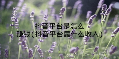 抖音平台是怎么赚钱(抖音平台靠什么收入)