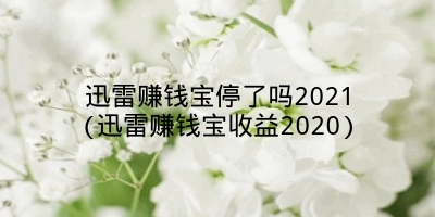 迅雷赚钱宝停了吗2021(迅雷赚钱宝收益2020)