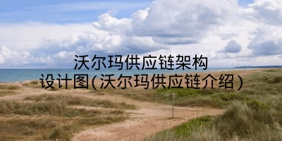 沃尔玛供应链架构设计图(沃尔玛供应链介绍)