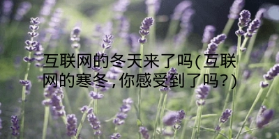 互联网的冬天来了吗(互联网的寒冬,你感受到了吗?)