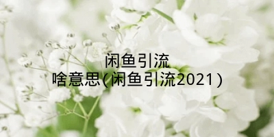 闲鱼引流啥意思(闲鱼引流2021)