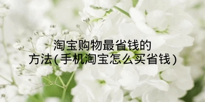 淘宝购物最省钱的方法(手机淘宝怎么买省钱)