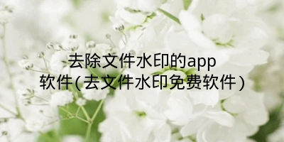 去除文件水印的app软件(去文件水印免费软件)