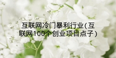 互联网冷门暴利行业(互联网100个创业项目点子)