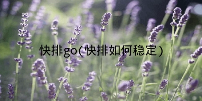 快排go(快排如何稳定)