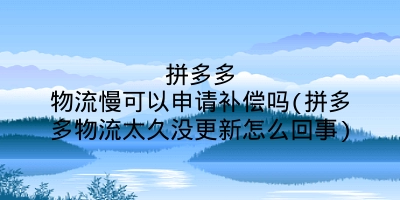 拼多多物流慢可以申请补偿吗(拼多多物流太久没更新怎么回事)