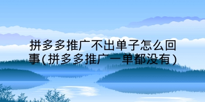 拼多多推广不出单子怎么回事(拼多多推广一单都没有)