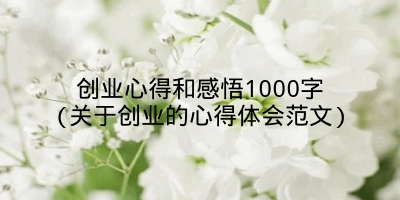 创业心得和感悟1000字(关于创业的心得体会范文)