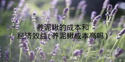 养泥鳅的成本和经济效益(养泥鳅成本高吗)