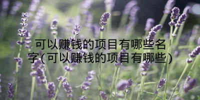 可以赚钱的项目有哪些名字(可以赚钱的项目有哪些)