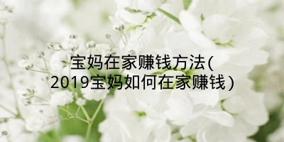 宝妈在家赚钱方法(2019宝妈如何在家赚钱)