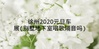 徐州2020元旦车展(别墅地下室唱歌隔音吗)