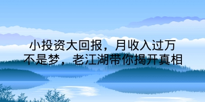 小投资大回报，月收入过万不是梦，老江湖带你揭开真相