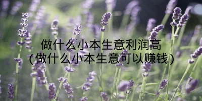 做什么小本生意利润高(做什么小本生意可以赚钱)