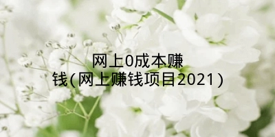 网上0成本赚钱(网上赚钱项目2021)