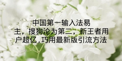 中国第一输入法易主，搜狗沦为第二，新王者用户超亿,巧用最新版引流方法