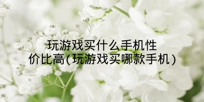 玩游戏买什么手机性价比高(玩游戏买哪款手机)