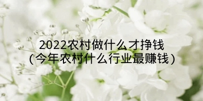 2022农村做什么才挣钱(今年农村什么行业最赚钱)