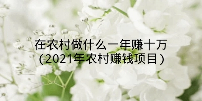 在农村做什么一年赚十万(2021年农村赚钱项目)