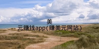 美元赚钱app(赚美元网站)