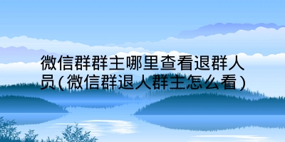 微信群群主哪里查看退群人员(微信群退人群主怎么看)