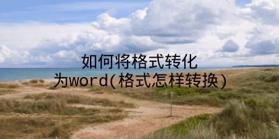 如何将格式转化为word(格式怎样转换)