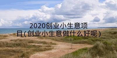 2020创业小生意项目(创业小生意做什么好呢)