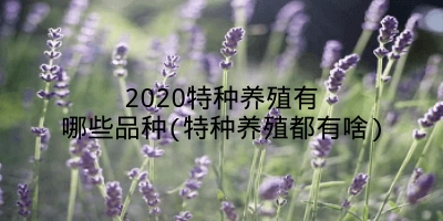 2020特种养殖有哪些品种(特种养殖都有啥)